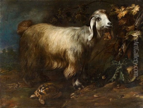 A Goat, Tortoise And Snail In A Forest Landscape Oil Painting - Paolo Porpora