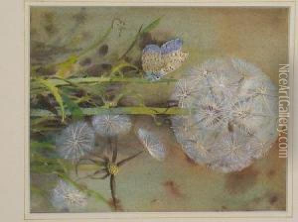 Dandelion Oil Painting - Edwin John Alexander