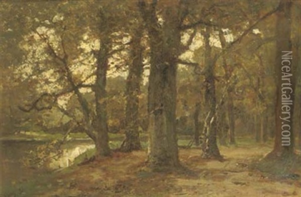 Vijver In T Haags Bosch: A Pond In A Forest Oil Painting - Frits Mondriaan
