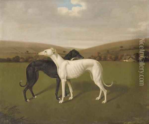 A Pair Of Greyhounds Oil Painting - Jacques Laurent Agasse