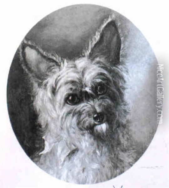 Yorkshire Terrier With A Blue Bow Oil Painting - Frank Paton