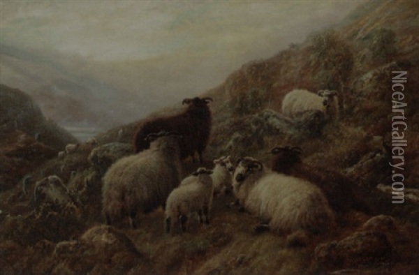 Highland Sheep Oil Painting - Robert F. Watson