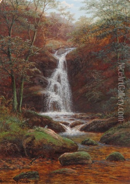 Fall On Posforth Ghyll, Bolton Woods, Yorkshire Oil Painting - William Mellor
