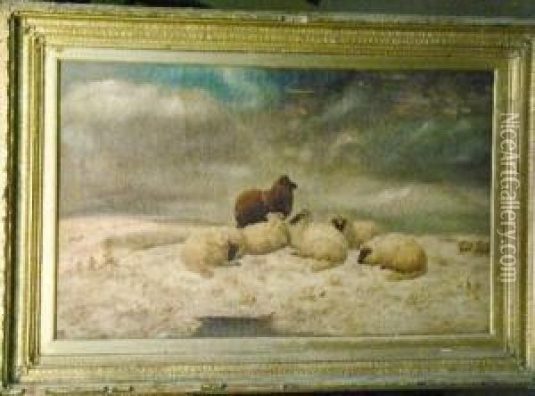 Sheep In A Winter Landscape Oil Painting - John Morris