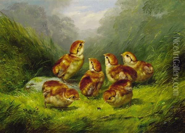 ''ruffed Grouse Chickens'' Oil Painting - Arthur Fitzwilliam Tait