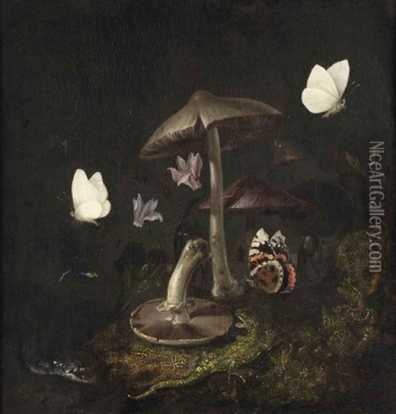 A Sotto Bosco With Mushrooms, Butterflies, A Dragonfly, A Snake And A Lizard Oil Painting - Otto Marseus van Schrieck