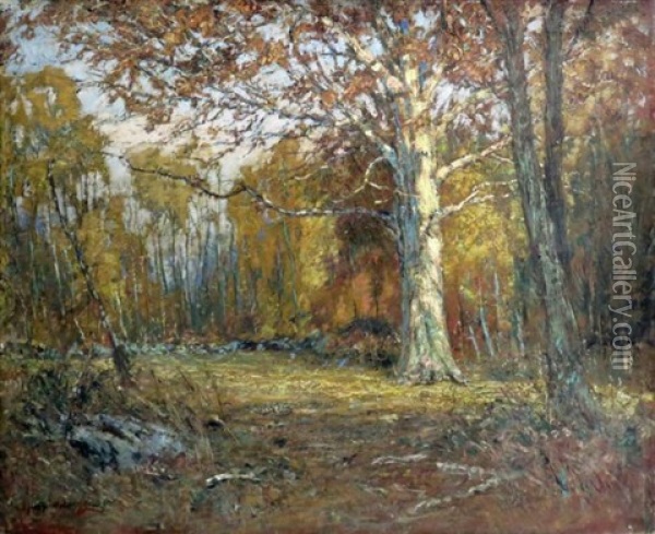 Forest Clearing Oil Painting - Samuel Harkness Mccrea
