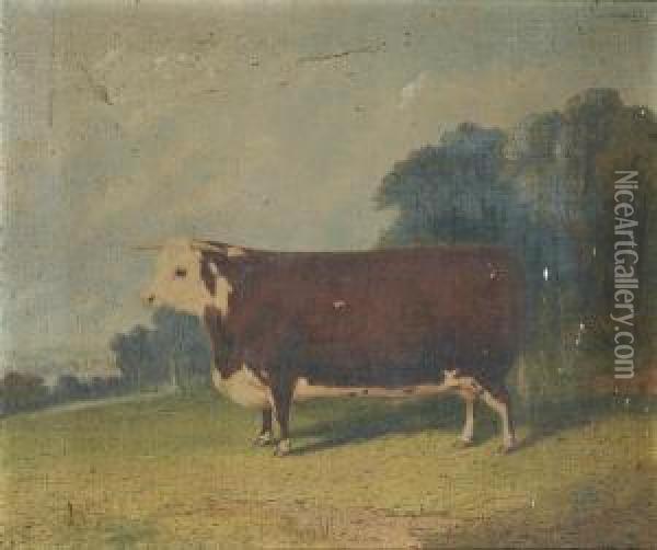 A Prize Cow In A Wooded River Landscape Oil Painting - Richard Whitford