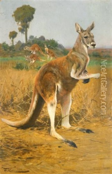 Red Kangaroos In The Outback Oil Painting - Wilhelm Friedrich Kuhnert