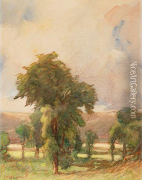 Trees In A Field Oil Painting - Georges Chavignaud