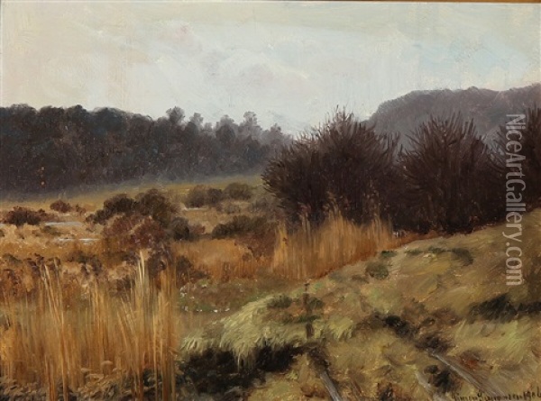 View From Ordrup Bog Oil Painting - Simon Simonsen