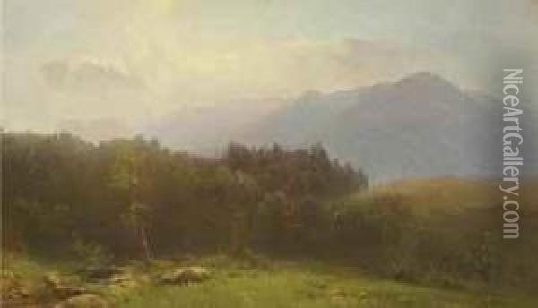 In The Catskills Oil Painting - Homer Dodge Martin