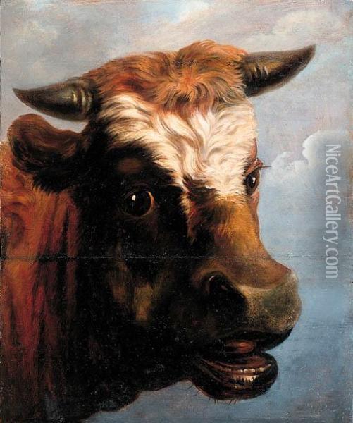 Head Of A Bull Oil Painting - Jacob Van Stry