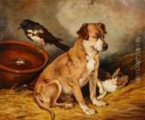 Dog And Cat In An Interior Oil Painting - John Emms