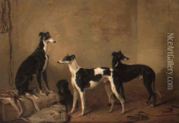 Lord Garlies' Greyhounds And A Spaniel In A Kennel Oil Painting - Edmund Bristow