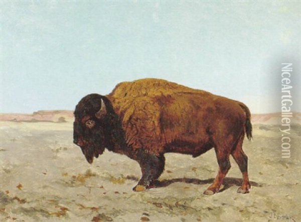 Prairie Bison Oil Painting - John Dare Howland