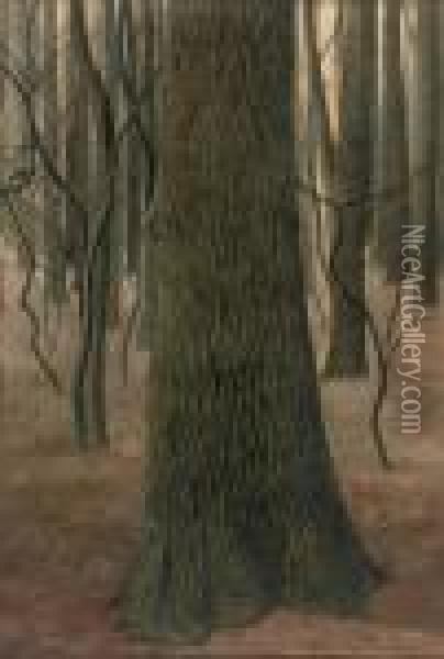 Ecorce De Chene: An Oak Tree In A Forest Oil Painting - Leon Spilliaert