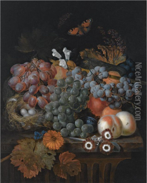 A Still Life With Blue And White Grapes On A Vine, Peaches, A Daisy, Auriculas And A Bird's Nest, All On A Wooden Ledge, Together With A Butterfly Oil Painting - Jan Baptist Govaerts