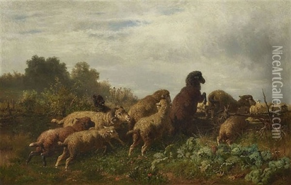 Schafe Im Krautacker Oil Painting - Anton Braith