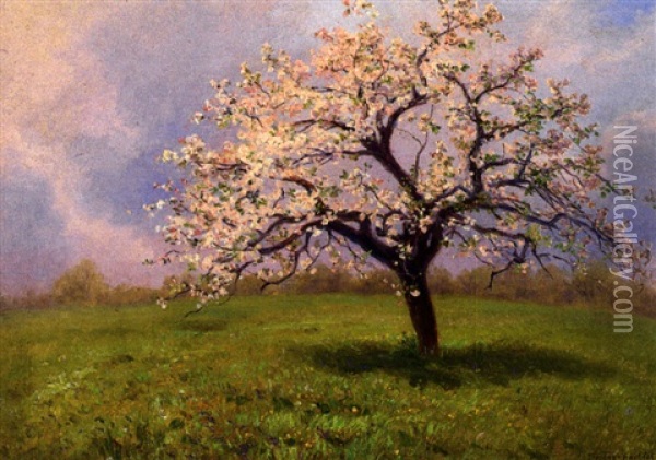 Bluhender Apfelbaum Auf Besonnter Wiese Oil Painting - Jan Trentan Havlicek