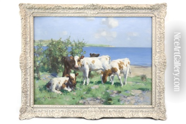 Calves In Sunshine By The Water Oil Painting - David Gauld