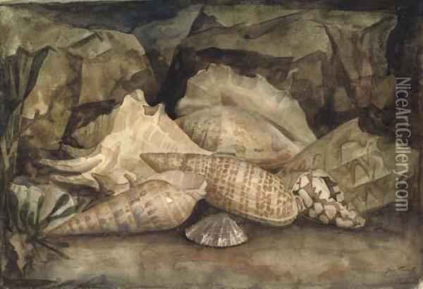 Sea Shells Oil Painting - Jan Frank Niemantsverdriet