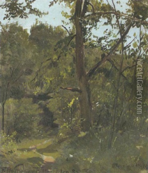 Sommerlicher Waldweg Oil Painting - Franz Hoffmann-Fallersleben