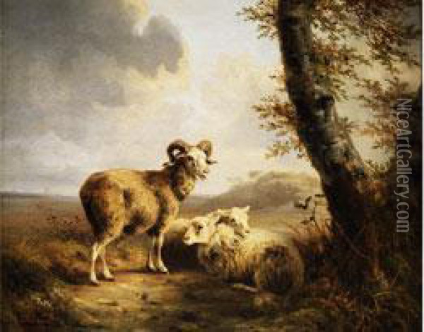 Schafe Am Feldrand Unter Lichten Birkenbaumen Oil Painting - Joseph Augustus Knip