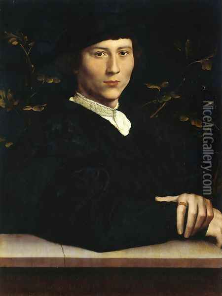 Portrait of Derich Born 1533 Oil Painting - Hans Holbein the Younger