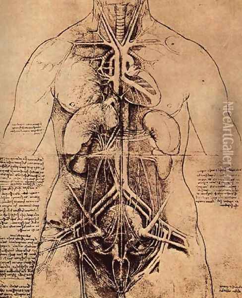 Drawing Of A Womans Torso Oil Painting - Leonardo Da Vinci