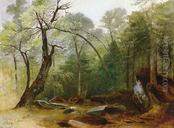 Study in the Woods Oil Painting - Asher Brown Durand