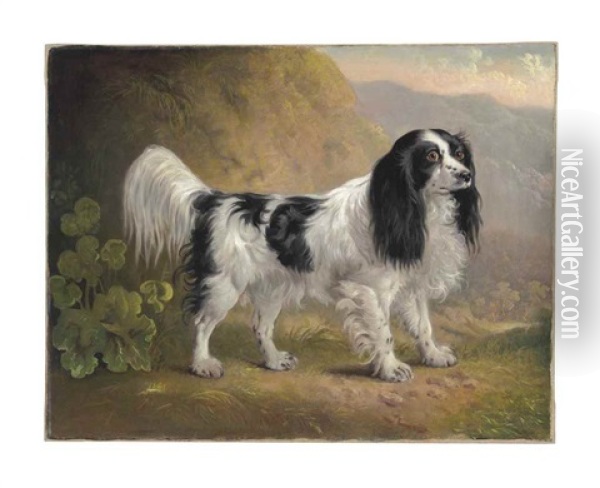 A Black And White English Springer Spaniel In A Landscape Oil Painting - Sawrey Gilpin