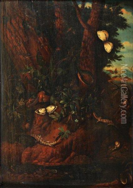 Lezards Et Papillons Dans Un Sous Bois Nocturne Oil Painting - Carl Wilhelm de Hamilton