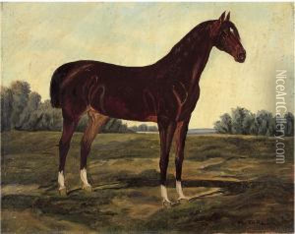 Cavallo Nel Paesaggio Oil Painting - Maud Earl