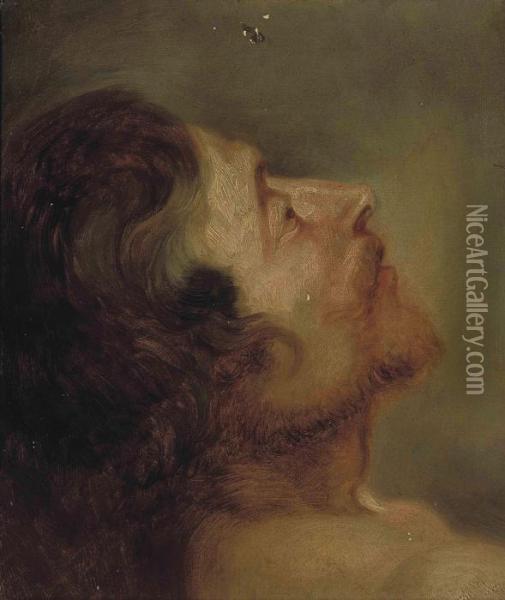 Head Study Of A Bearded Man Oil Painting - Sir Anthony Van Dyck