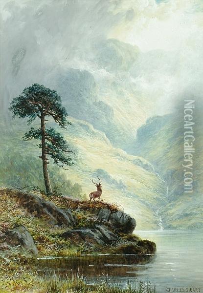 Alone In The Highlands Oil Painting - Charles Stuart