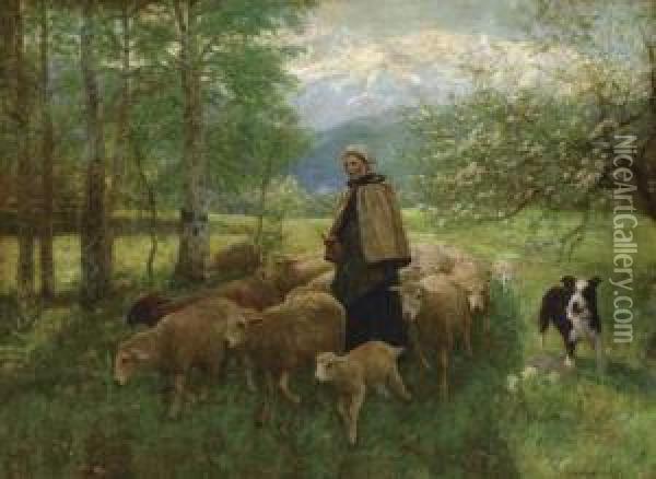 Shepherdess And Her Flock Oil Painting - Gaylord Sangston Truesdell
