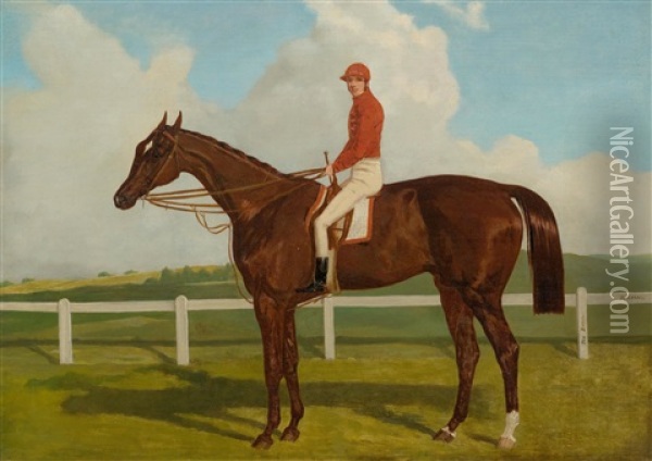 A Horse With Jockey - The Baron Oil Painting - Harry Hall