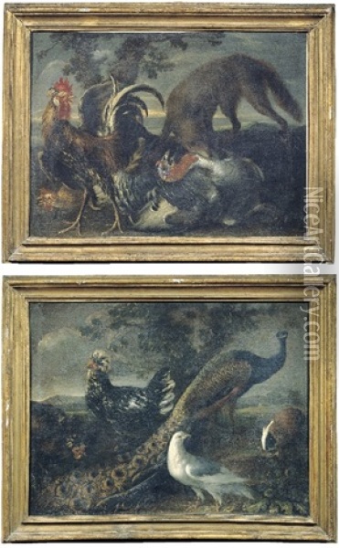 Natura Morta Con Uccelli E Pavone (+ Natura Morta Con Tacchino E Galli; 2 Works) Oil Painting - Giovanni (Crivellino) Crivelli
