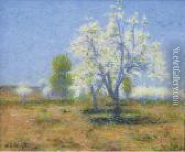 Le Verger En Fleurs, 1917. Oil Painting - Achille Lauge