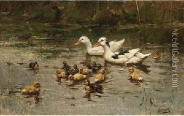 Ducks Having A Swim Oil Painting - Johannes Frederik Hulk, Snr.