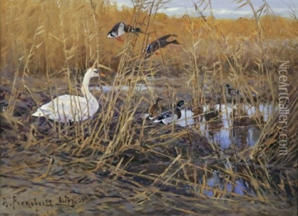 Schwan Und Enten Im Uferschilf Oil Painting - Dimitri Von Prokofiev