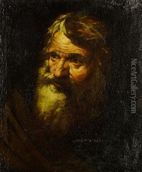 Bearded Man (study) Oil Painting - Domenico Brandi