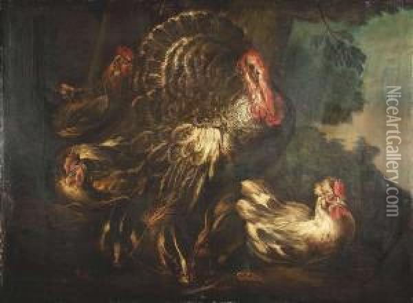 A Turkey With Hens And Rabbits Oil Painting - Il Crivellino Giovanni Crivelli