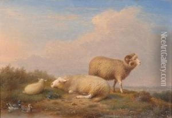 Study Of A Ram, Ewe, And A Lamb On A
Moorland Rise Oil Painting - Francois Van Severdouk