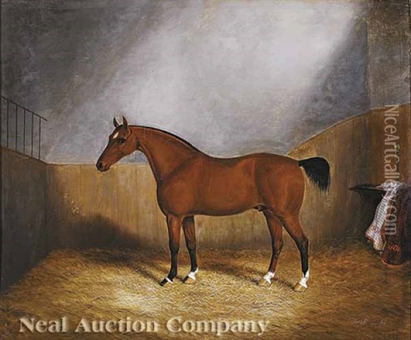 A Bay Hunter In His Stall Oil Painting - James Clark