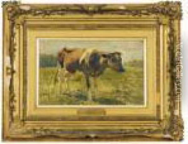 A Cow In The Meadow Oil Painting - Anton Mauve