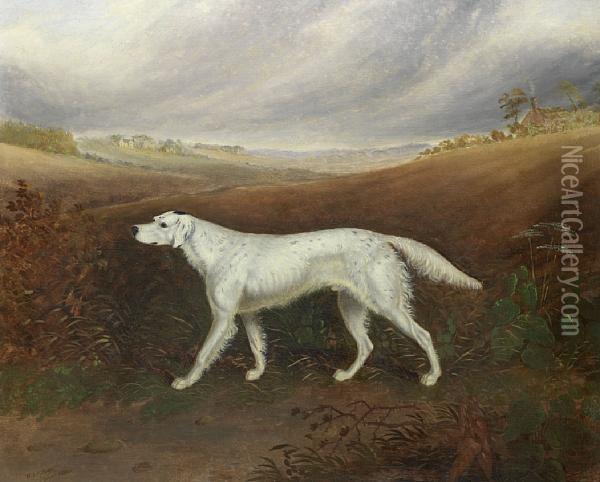 English Setter In An Extensive Parkland Setting Oil Painting - W.J. Gilbert