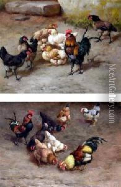 Chickens In A Yard Oil Painting - William Baptiste Baird