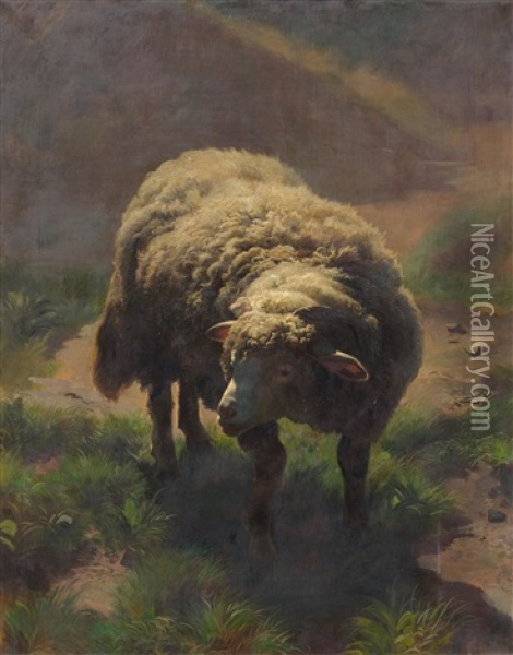 Sheep On The Pasture Oil Painting - Traugott Schiess